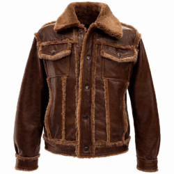Brown Shearling Trucker Leather Coat Belleville NJ, New York, New Jersey, Newark, Chicago, Ohio, Cold, Winter, Urban Fashion, Street Wear, Jean Jacket